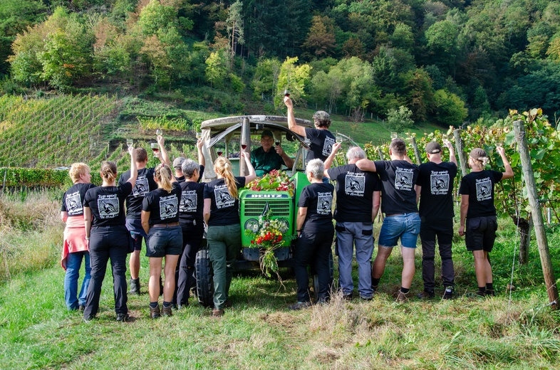 Das gesamte Team von Bertram Baltes auf einer Mauer vor den Weinreben